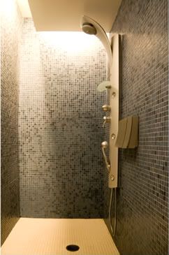 Bathroom Shower Ideas Pictures on Shower Heads Or Waterfall Shower Heads  These Can Be Mounted To The
