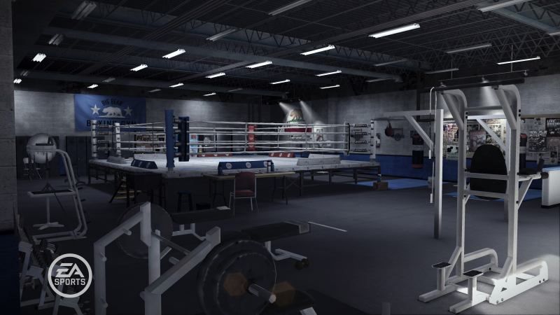 Fight Night Champions Gym
