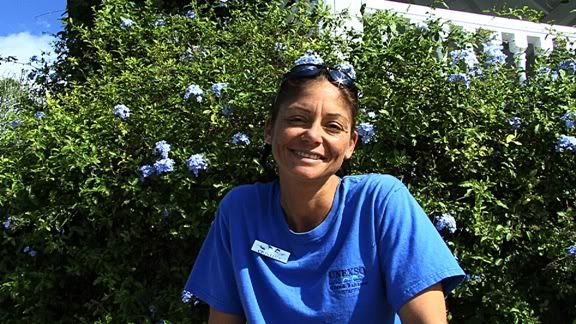 Cristina Zenato