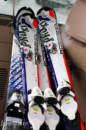 2010Ski-TheSkis