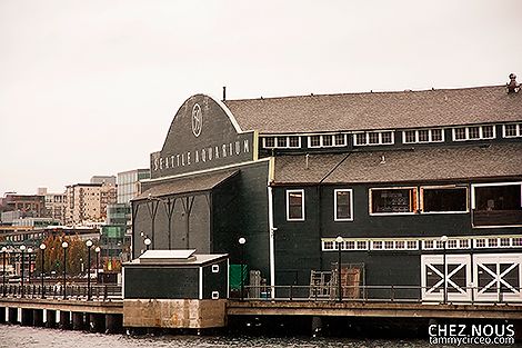 Seattle Aquarium photo IMG_7984-W.jpg