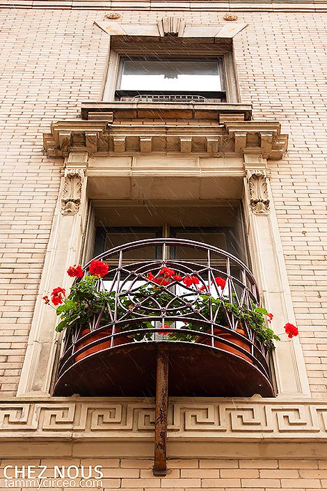 geraniums on balcony photo IMG_8143-W.jpg