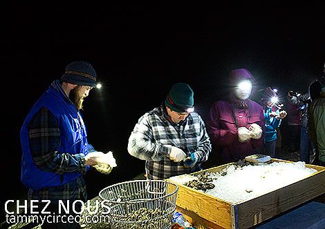 photo IMG_1499-W.jpg