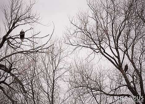 photo IMG_2997-W.jpg