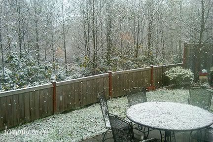 1st Snow