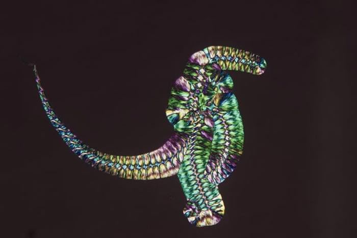 221977-mikrodunya18.jpg