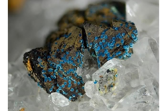 221999-mikrodunya40.jpg
