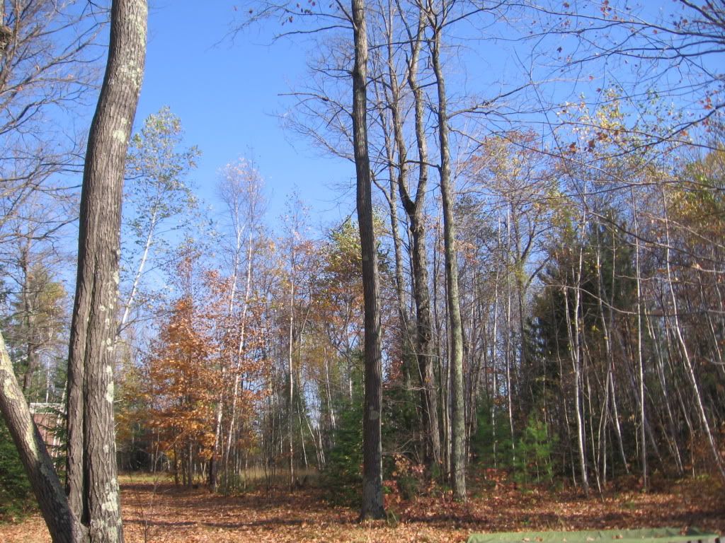 Fall in Wisconsin