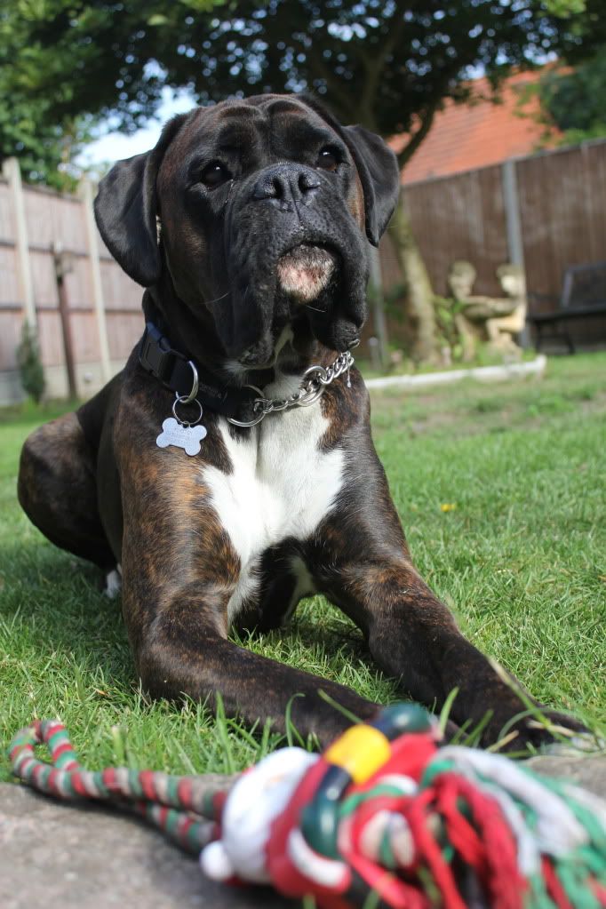 IMAGE: http://i1183.photobucket.com/albums/x469/Andy_Goss/IMG_0663.jpg