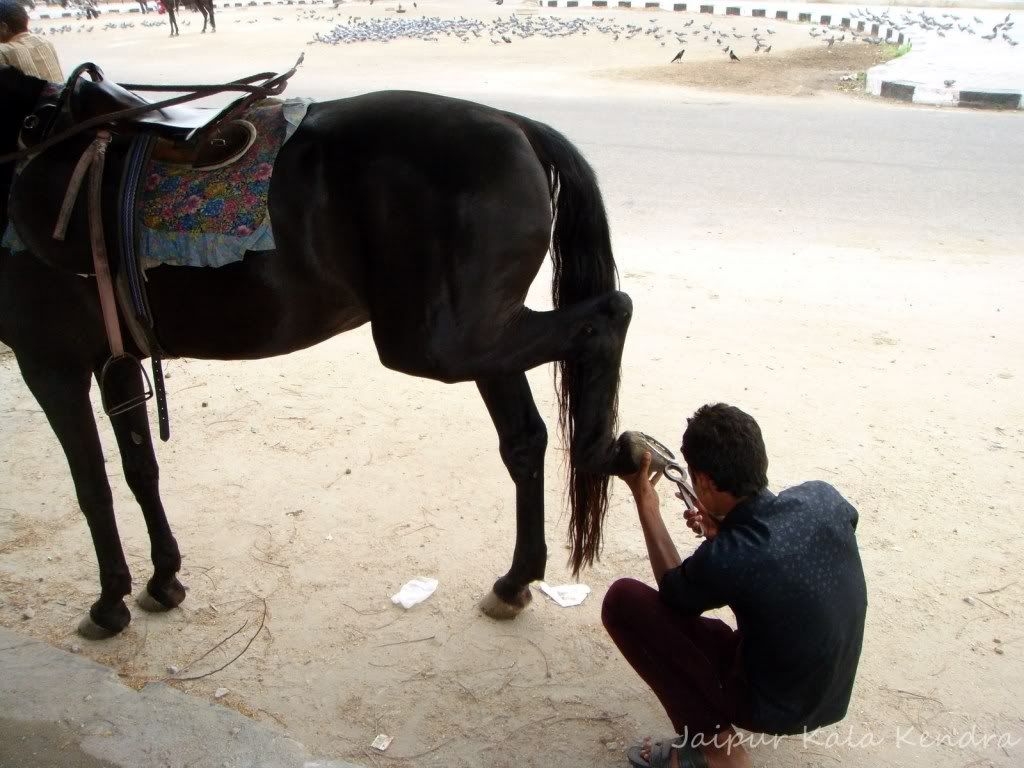 horse shoe hindu personals Meet horse shoe singles online & chat in the forums dhu is a 100% free dating site to find personals & casual encounters in horse shoe. horse shoe hindu personals Meet horse shoe singles online & chat in the forums dhu is a 100% free dating site to find personals & casual encounters in horse shoe.
