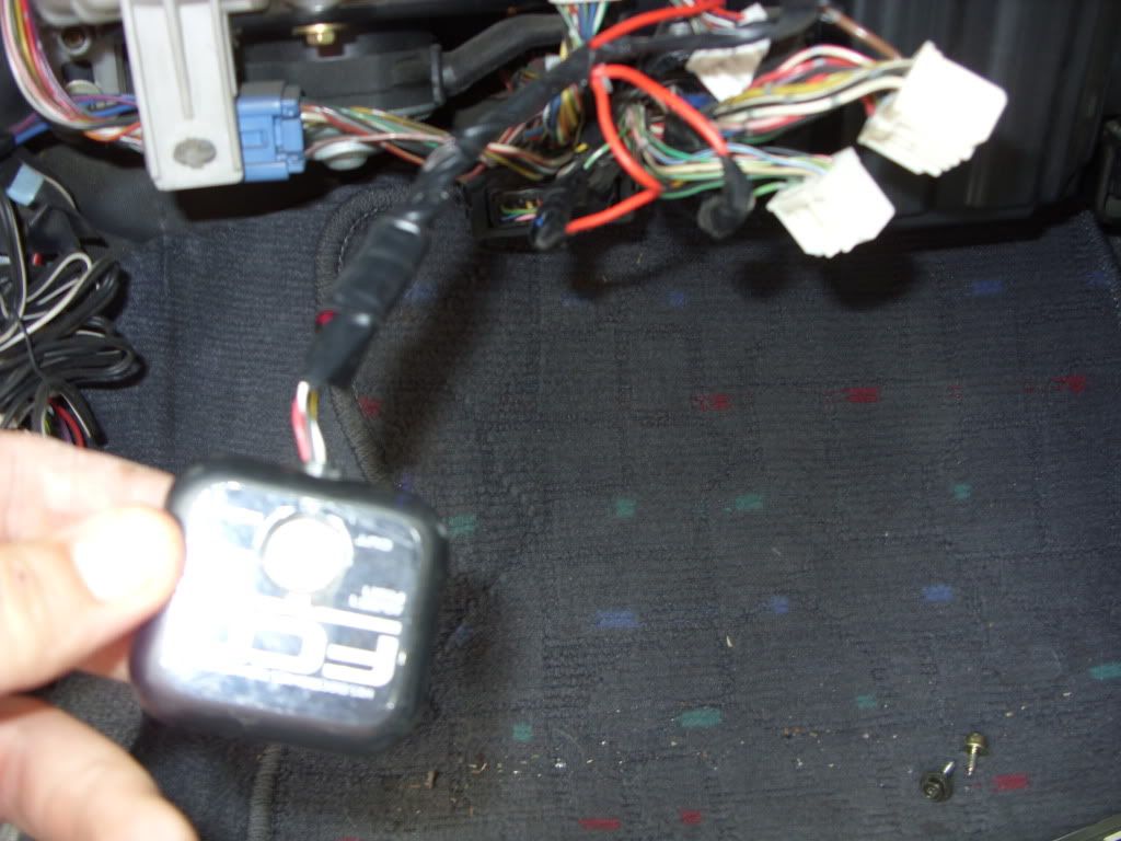 SDC10573.jpg