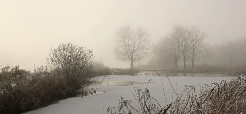 Fotografie