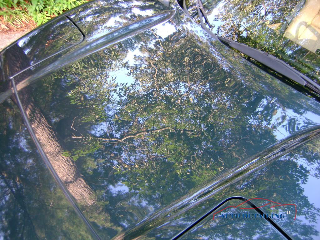 NSXGreen28.jpg