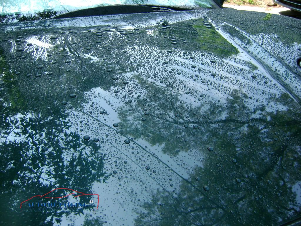 NSXGreen5.jpg