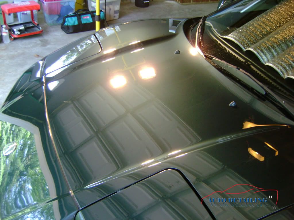 NSXGreen7.jpg