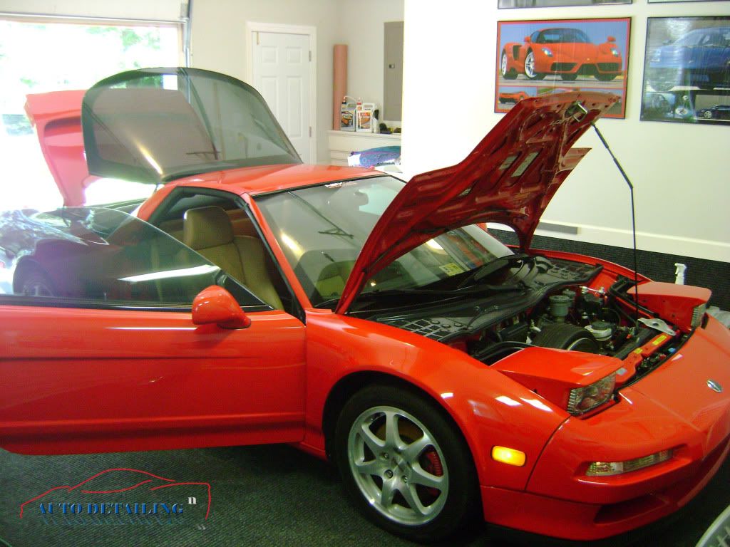 NSXRed16.jpg