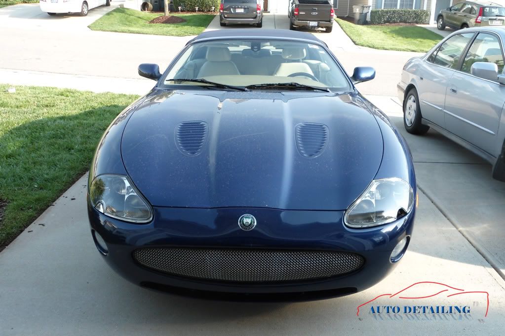 JaguarXK-R1.jpg