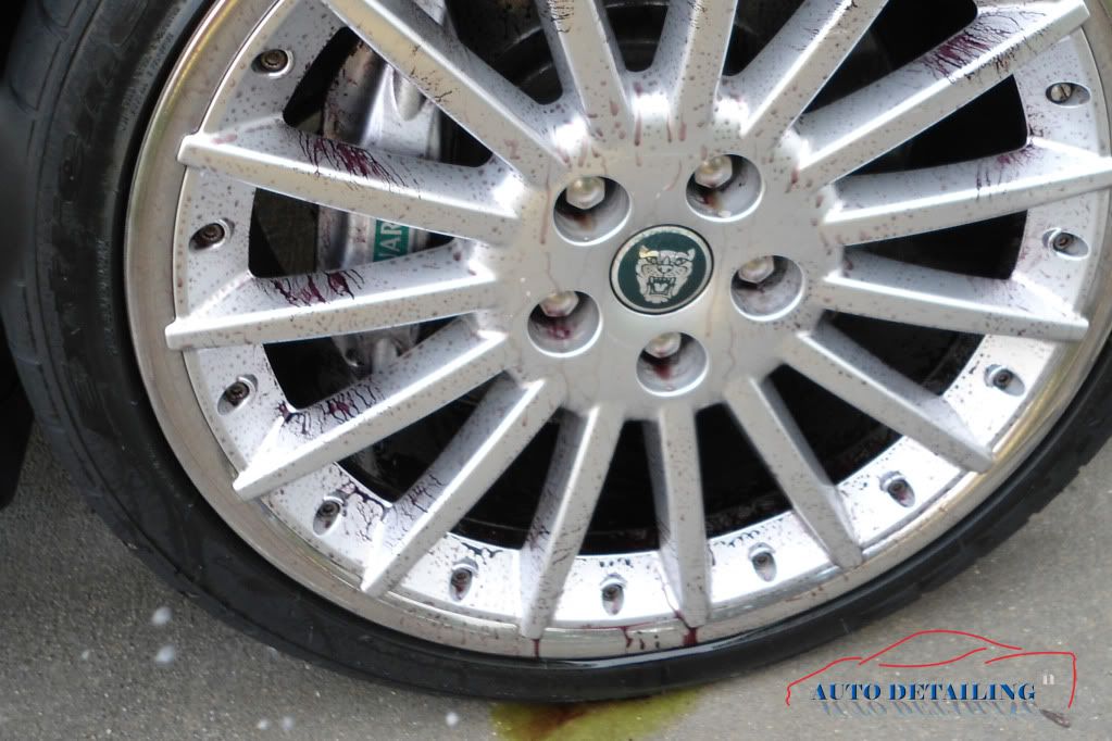JaguarXK-R5.jpg