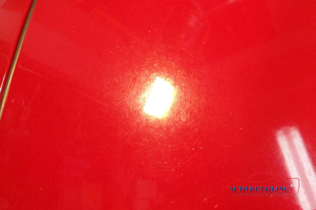 DSC00374.jpg