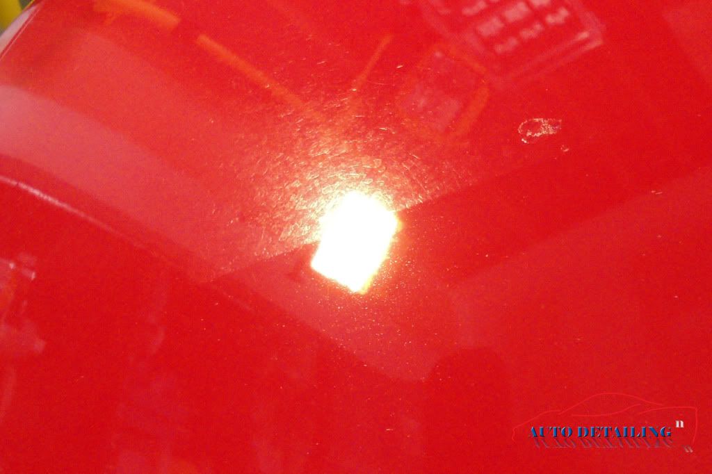 DSC00380.jpg