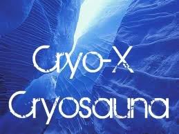 Cryo-X Cryosauna