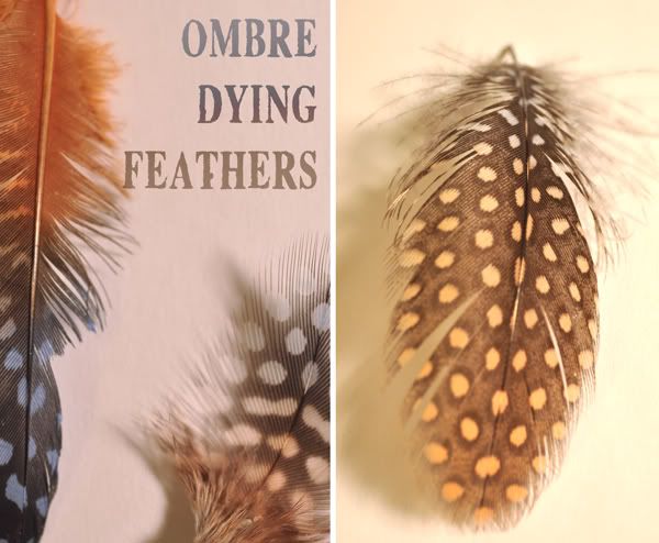 Ombre Dying Feathers by (Indie) Pretty Projects