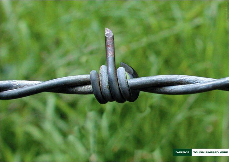 d-fence_wire.jpg