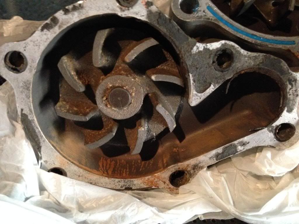  photo photo_zps2f23bf7b.jpg