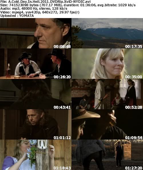 A Cold Day In Hell (2011) DVDRip XviD-NYDIC