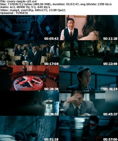 Red Eagle 2010 DVDRip XviD-CoWRY Red Eagle 2010 DVDRip XviD-CoWRY