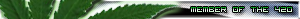420barfaction2.png