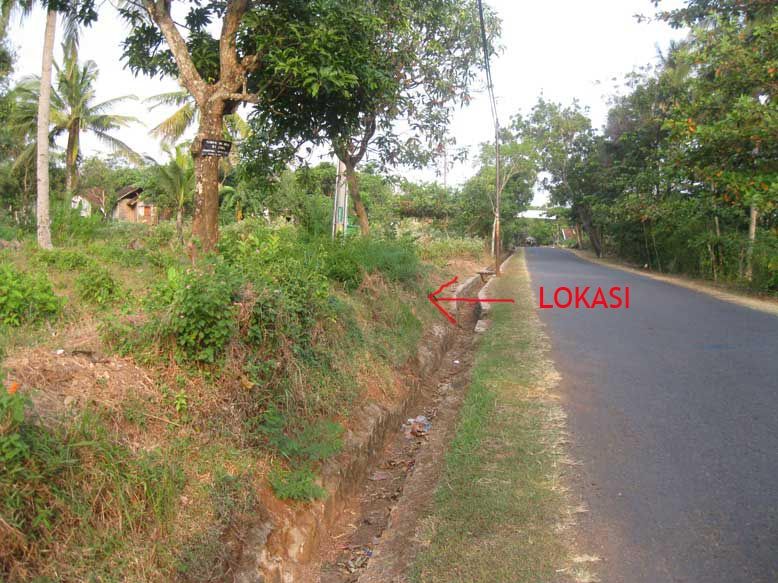 Jual Tanah murah 2 hektar, di dalemnya ada 150 pohon jati