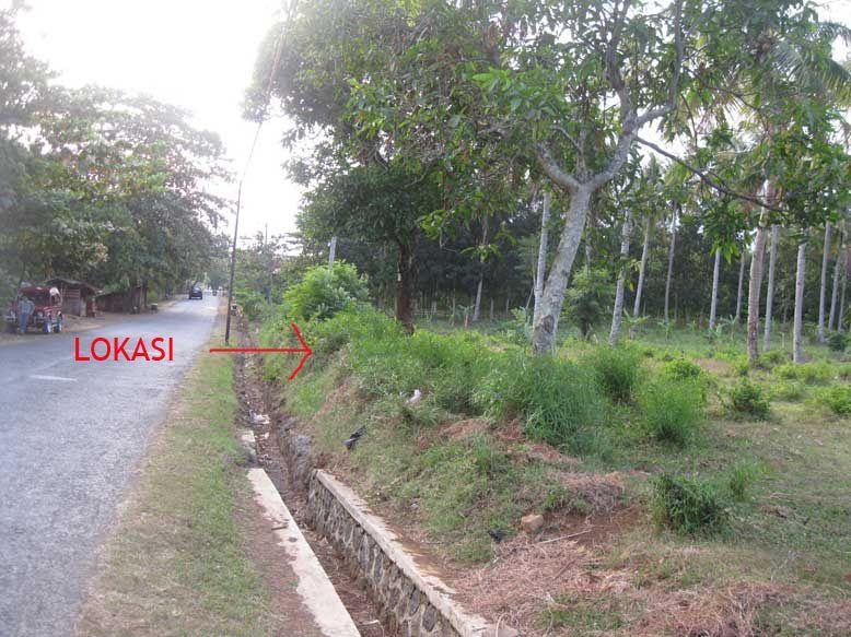 Jual Tanah murah 2 hektar, di dalemnya ada 150 pohon jati