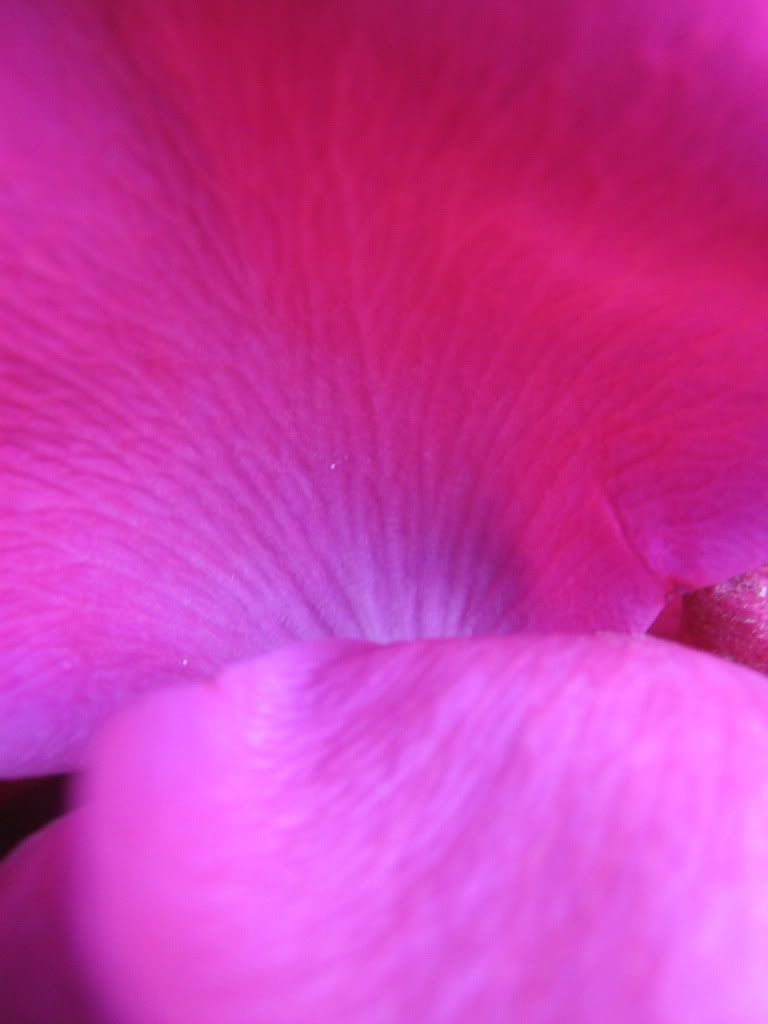 fotografía fotografía