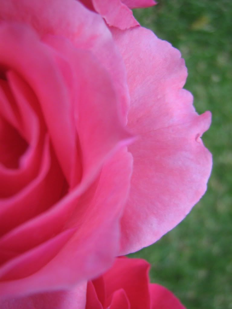 imagenes imagenes
