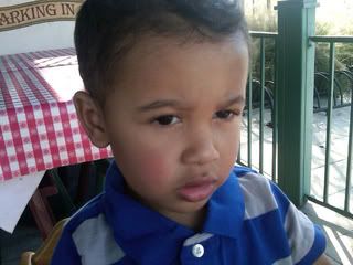 Uploaded from the Photobucket iPad App