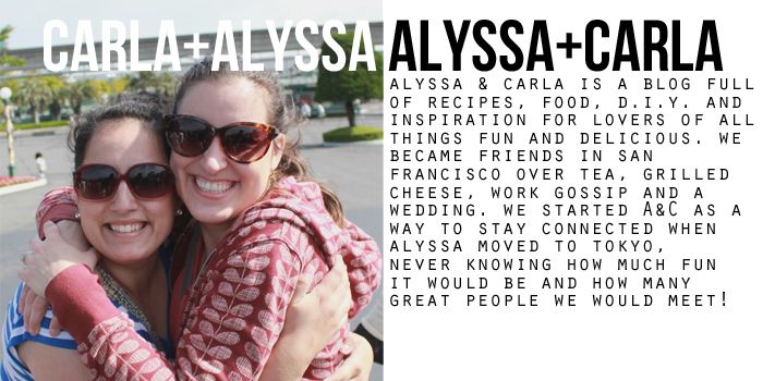 photo Contributors-AlyssaandCarla_zps6bd72a4d.jpg