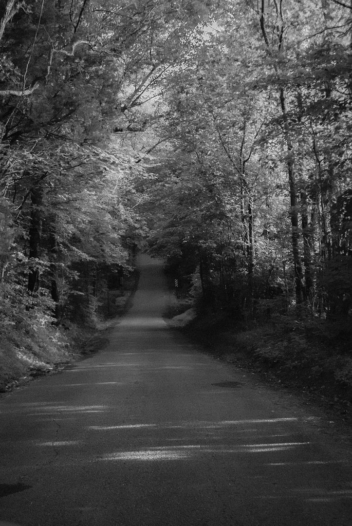 photo DSC_0018_zpsebfe38df.jpg