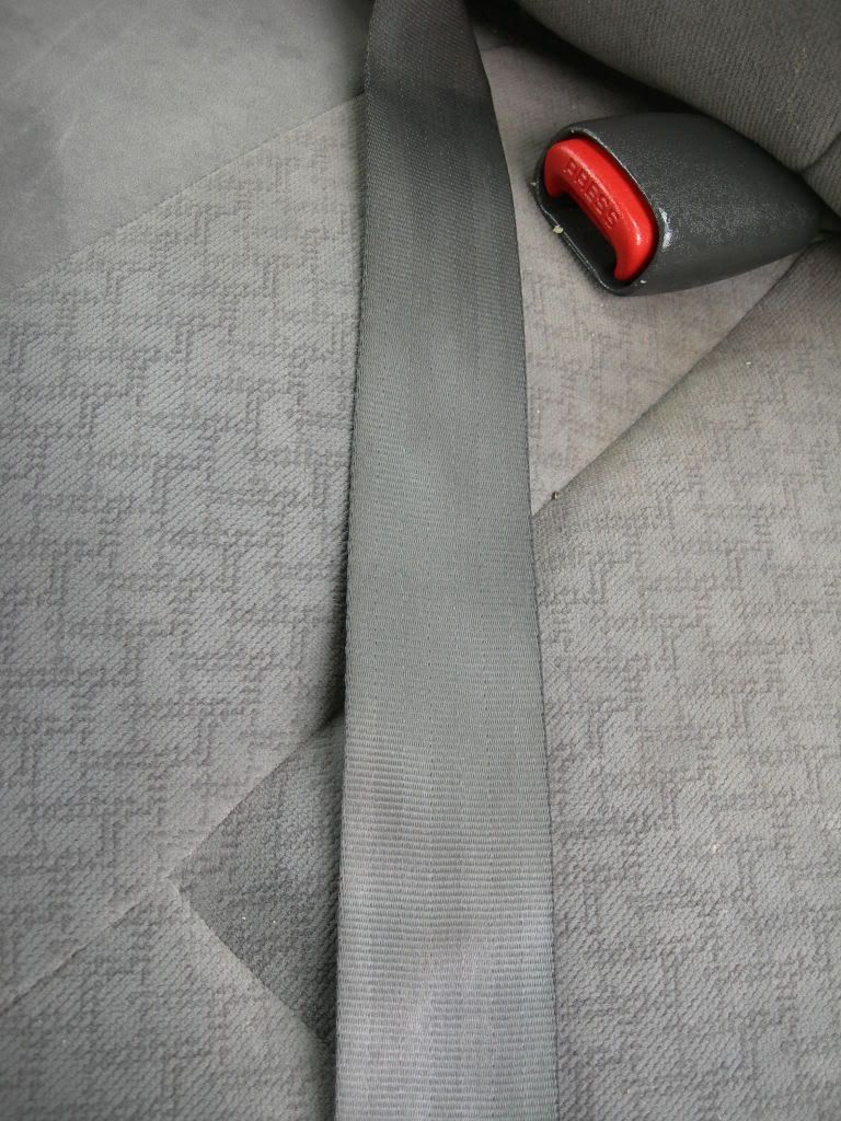 DSCN1993.jpg