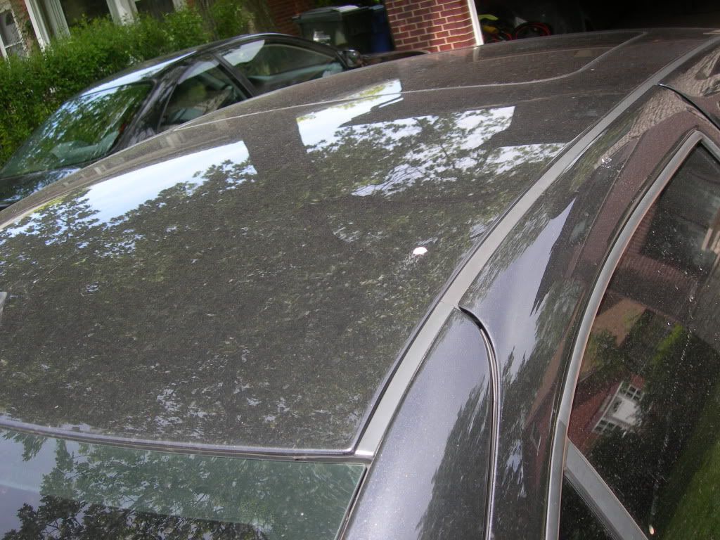 DSCN2050.jpg