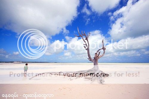 http://i1183.photobucket.com/albums/x474/konay1/general%203/6%20pink-beach.jpg