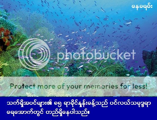 http://i1183.photobucket.com/albums/x474/konay1/general%205/Beautiful-undersea-plants-and-fish_m.jpg