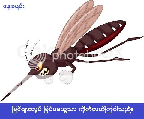 http://i1183.photobucket.com/albums/x474/konay1/general/8296953-angry-mosquito-cartoon.jpg