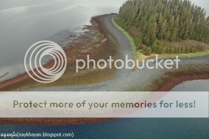 http://i1183.photobucket.com/albums/x474/konay1/generral%202/17Alaska-Prince-William-Sound-Port-Chalmers-area.jpg